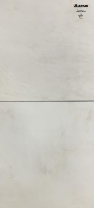 Arctic V30