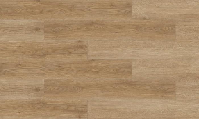 Didim PM-684