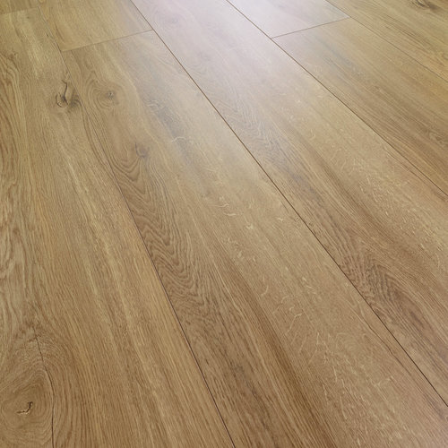 Lucerne oak 3784
