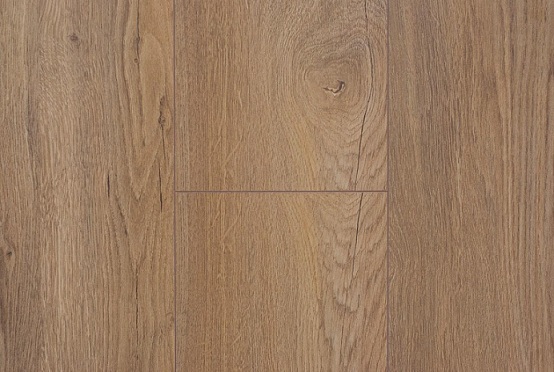 Santiago Oak 4491