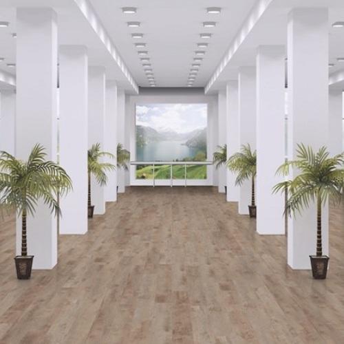 Platinum Birch D3953