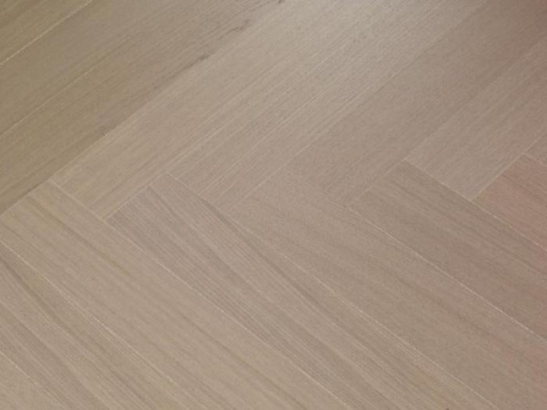 DESERT OAK TB104