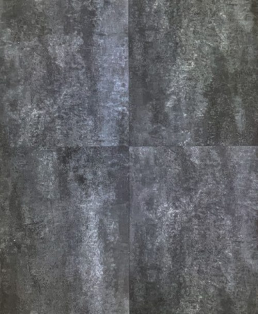 CM 1204