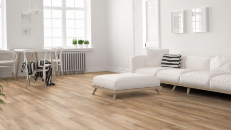 Santiago Oak 4491