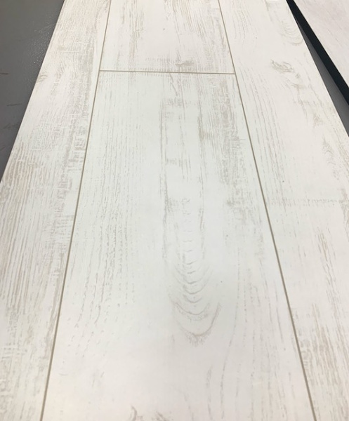 Chestnut White B6201