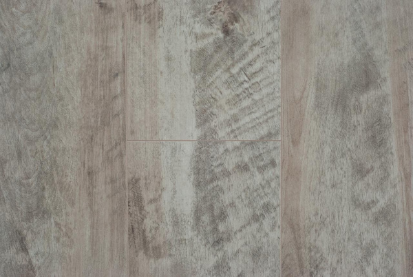 Platinum Birch D3953