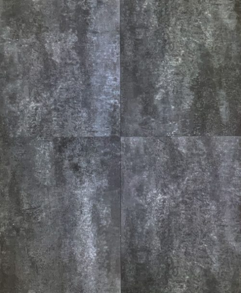 CM 1204