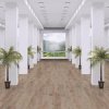 Platinum Birch D3953