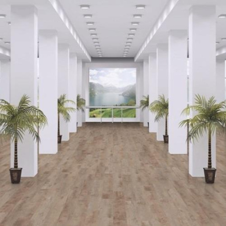 Platinum Birch D3953