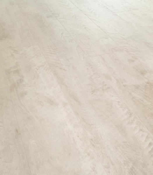 Nordic Birke 3950