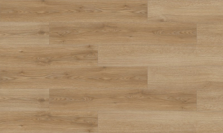 Didim PM-684
