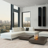 Nordic Birke 3950