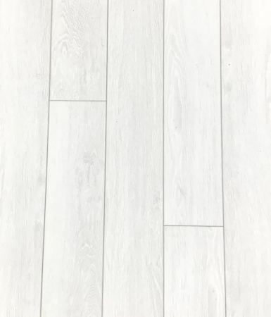 Iris || Iris