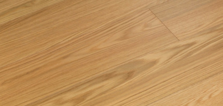 European Oak PB101 || European Oak PB101