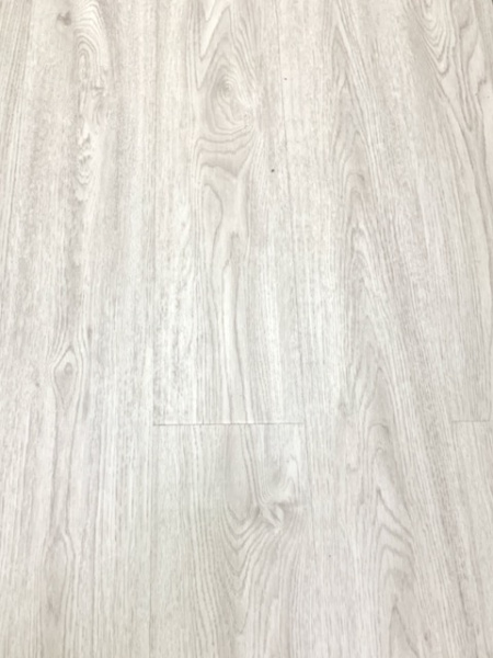 T604
